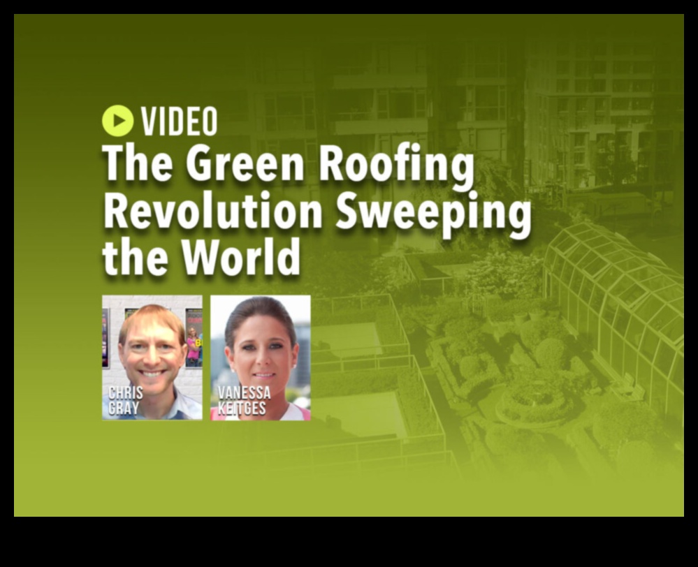 Design urban înălțător: evadări pe acoperiș în jungla de beton