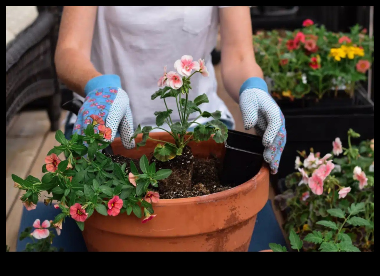 În aer liber prosper 5 sfaturi profesioniste pentru o grădină strălucitoare 2 În aer liber prosper: Sfaturi profesioniste pentru o grădină strălucitoare