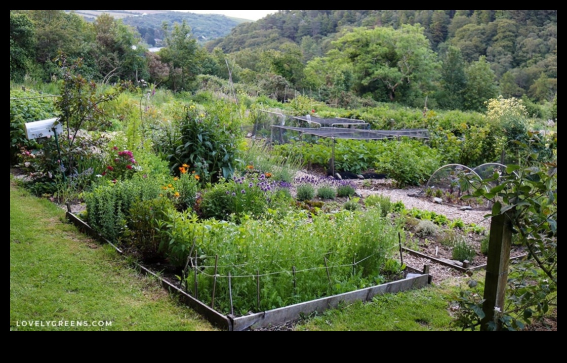 În aer liber prosper 5 Sfaturi profesioniste pentru o grădină strălucitoare 4 În aer liber prosper: Sfaturi profesioniste pentru o grădină strălucitoare