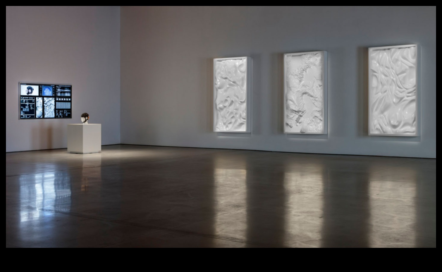 Minunății multimedia: abordări interdisciplinare în arta modernă