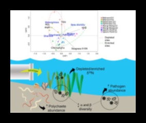 De ce sunt estuarele râurilor componente importante ale peisajelor acvatice?