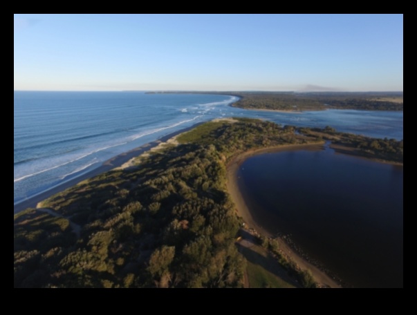 De ce sunt estuarele râurilor componente importante ale peisajelor acvatice?