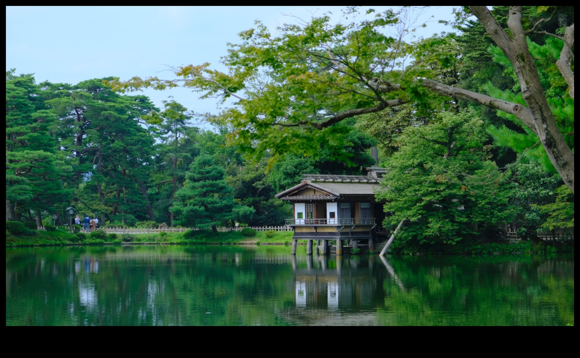 Paleta naturii Un tur al culorilor grădinii japoneze în armonie 5 Paleta naturii: culorile grădinii japoneze în armonie
