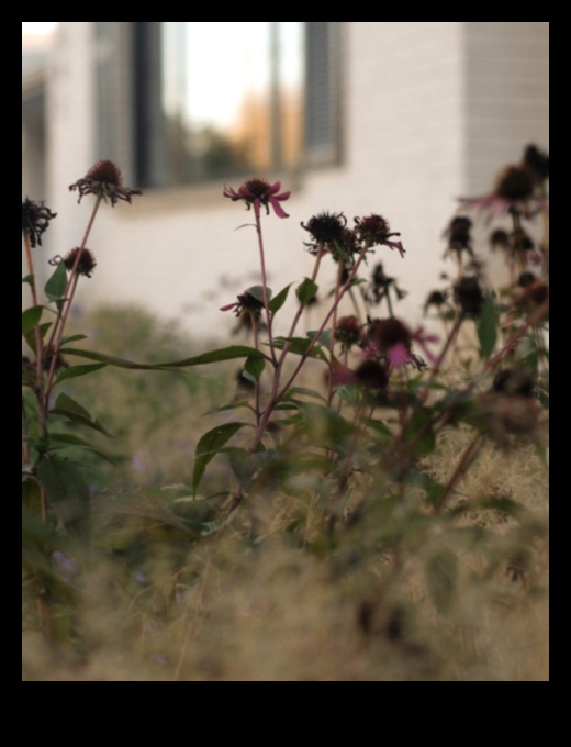 Petale și progres Un ghid sezonier pentru întreținerea grădinii 4 Petale și progres: navigarea anotimpurilor cu întreținerea grădinii