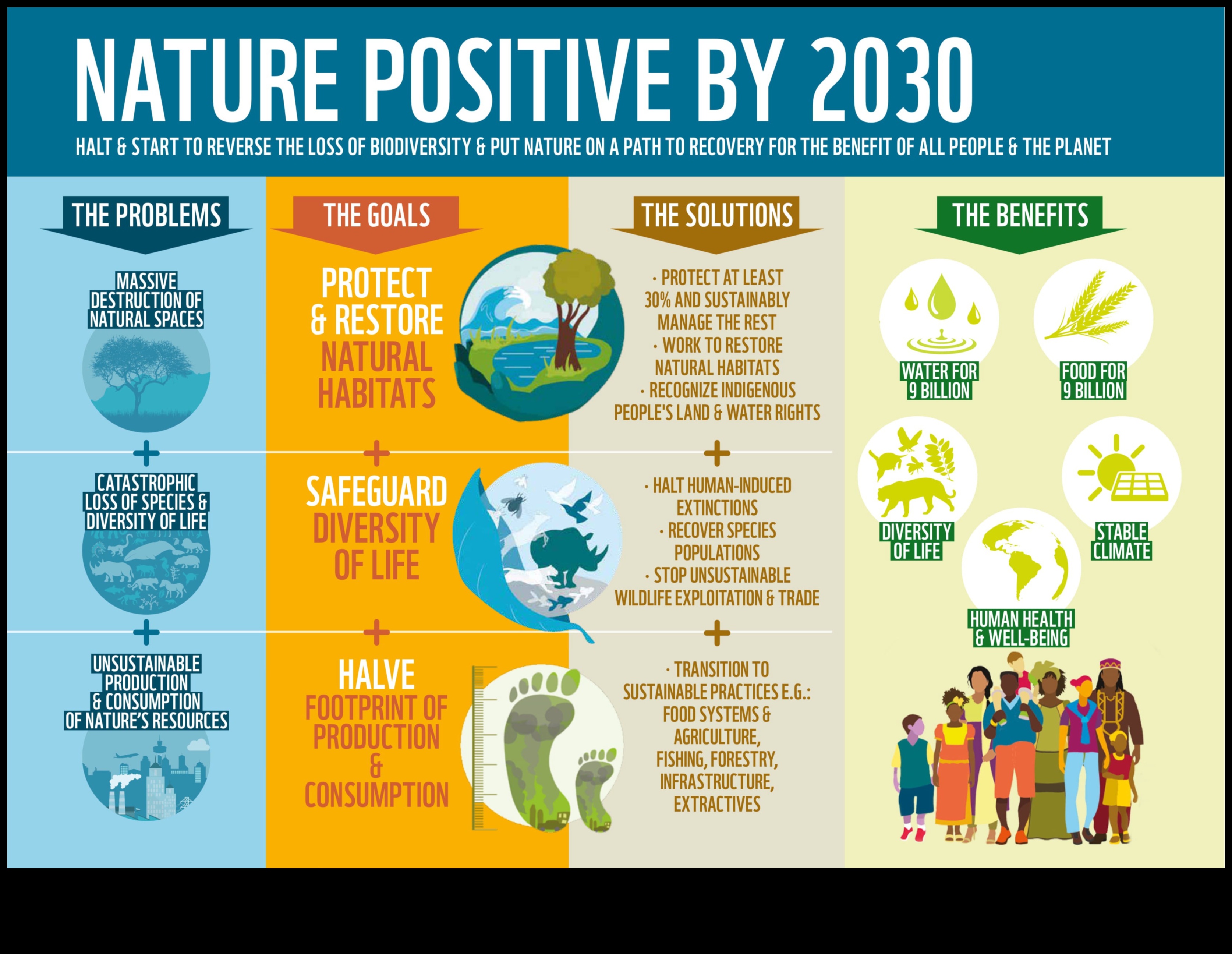 Frontierele biodiversităţii: Dezvăluirea zonelor de conservare la nivel mondial