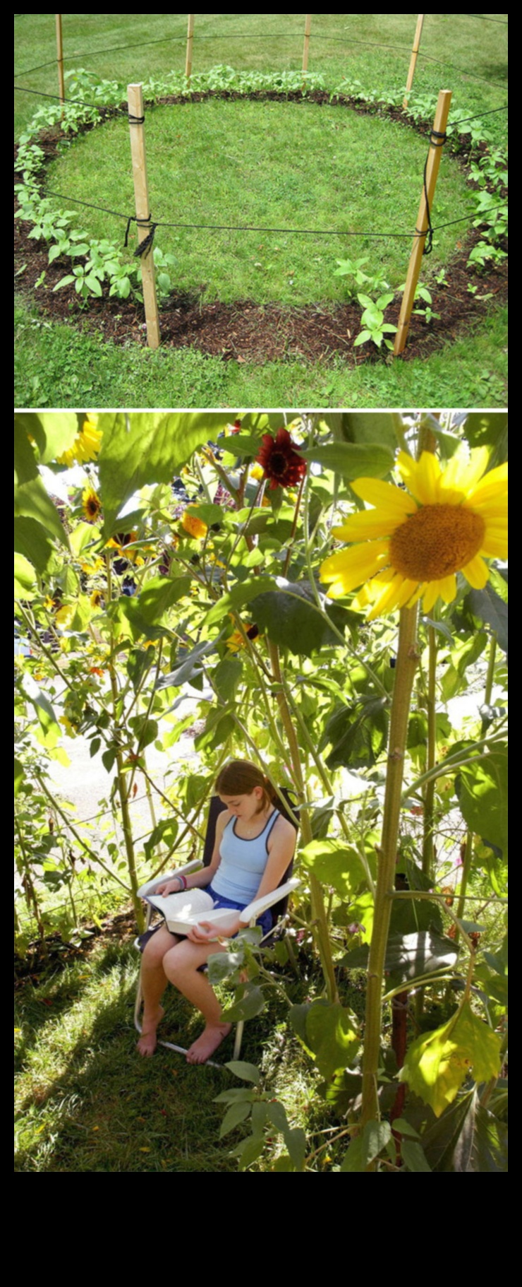 Green Thumb Artistry: DIY-uri creative pentru pasionații de grădină