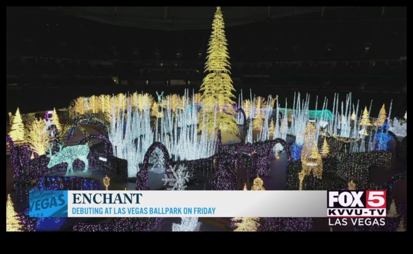 Încântarea Iernii: Navigarea în Țara Minunilor