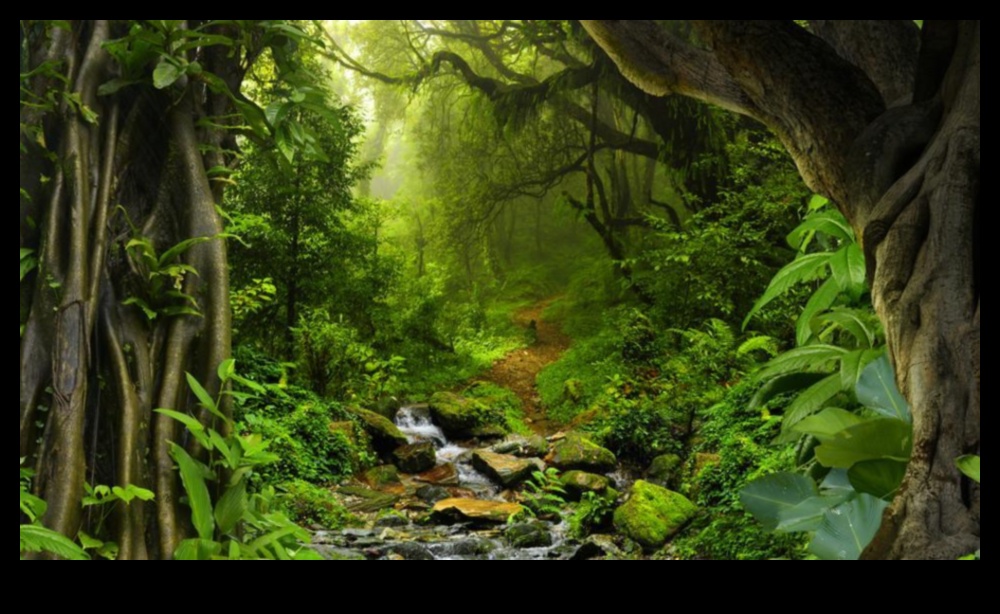 Respirați frumusețe: peisaje pitorești de inspirat