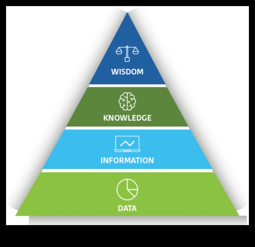 Cultivarea înțelepciunii datelor Cum să utilizați analiza strategică de afaceri pentru a lua decizii mai bune 2 Cultivarea înțelepciunii datelor: puterea analizei strategice de afaceri