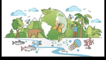 Frontierele biodiversităţii: Dezvăluirea zonelor de conservare la nivel mondial