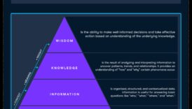 Cultivarea înțelepciunii datelor: puterea analizei strategice de afaceri