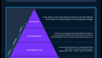Cultivarea înțelepciunii datelor: puterea analizei strategice de afaceri