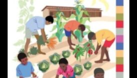 Cultivarea minților Un calcul spre succesul educației în grădină 2 Cultivarea minților: un plan pentru succesul educației în grădină