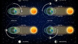 Dincolo de prinderea Pământului: O privire asupra orbitelor cerești