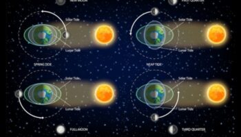 Dincolo de prinderea Pământului: O privire asupra orbitelor cerești