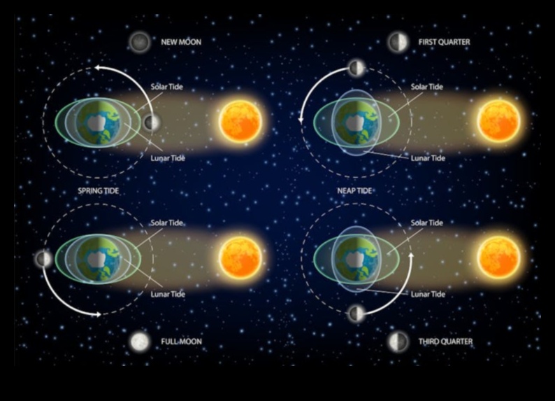 Dincolo de prinderea Pământului: O privire asupra orbitelor cerești