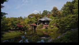 Eleganța japoneză în care petală Abstractionism; arta aplicata grădinăritului nipon 4 Eleganță japoneză în fiecare petală: înțelepciunea grădinăritului