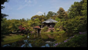 Eleganță japoneză în fiecare petală: înțelepciunea grădinăritului