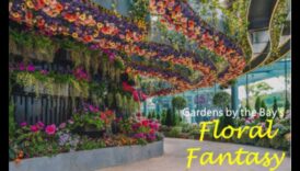 Patima florală Un povatuitor asupra crearea unei grădini iele 1 Fantezie florală: sfaturi pentru o grădină plină de frumusețe