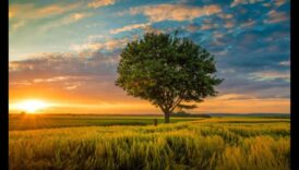 Respirați frumusețe: peisaje pitorești de inspirat