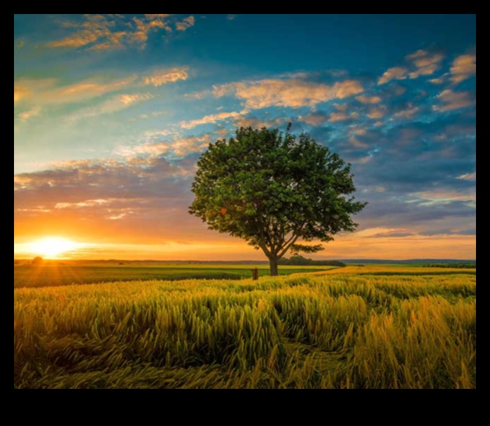 Respirați frumusețe: peisaje pitorești de inspirat