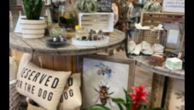 Green Thumb Artistry: DIY-uri creative pentru pasionații de grădină