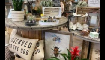 Green Thumb Artistry: DIY-uri creative pentru pasionații de grădină