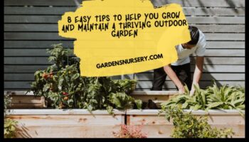 În aer liber prosper: Sfaturi profesioniste pentru o grădină strălucitoare