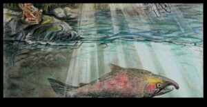 Cum contribuie diferitele corpuri de apă la biodiversitatea acvatică a peisajelor?