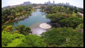 Biodiversitatea urbană: Flora și Fauna în peisaje urbane