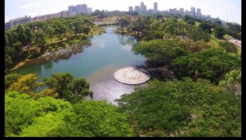 Biodiversitatea urbană: Flora și Fauna în peisaje urbane