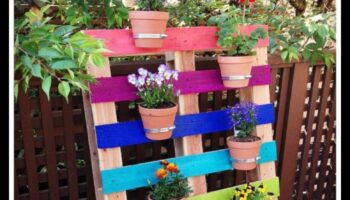 Paleta naturii: proiecte de bricolaj pentru o grădină plină de culoare