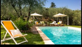 Reverii rurale: Scene liniștite din peisaje rurale